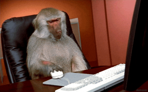 monkey smashing mouse