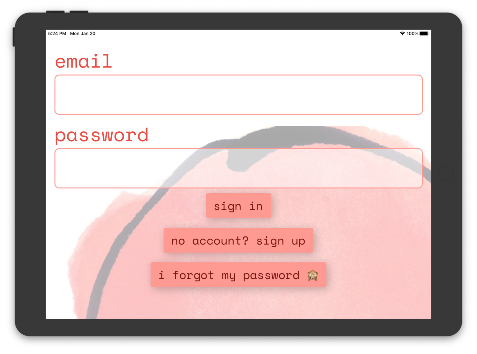 sign-in-screen-ipad.png